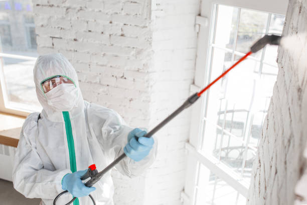 Best Crawl Space Mold Remediation  in Fulton, KY