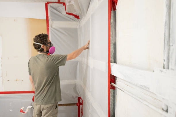 Best Mold Odor Removal Services  in Fulton, KY