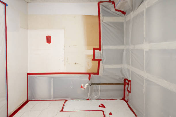 Best Real Estate Mold Inspection  in Fulton, KY