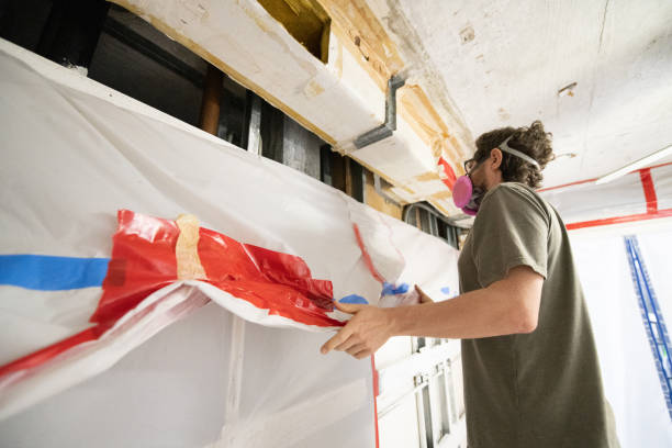 Best Black Mold Removal  in Fulton, KY
