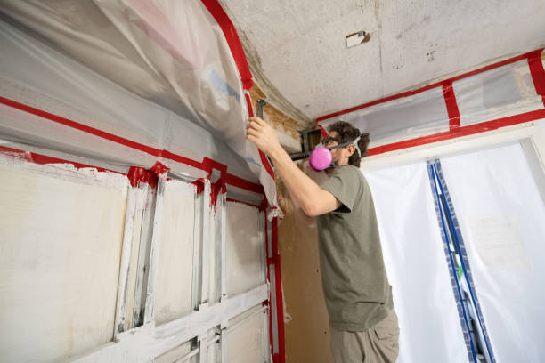 Best Commercial Mold Inspection  in Fulton, KY