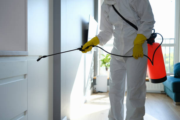 Best HVAC Mold Inspection and Cleaning  in Fulton, KY