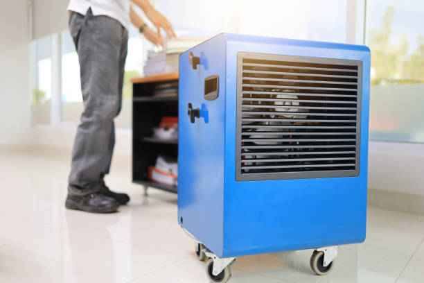 Best Indoor Air Quality Assessment  in Fulton, KY
